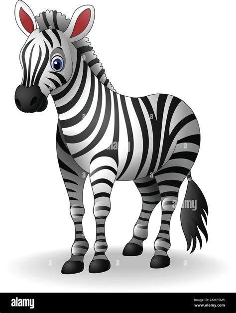 cartoon zebra|cartoon pictures of zebras.